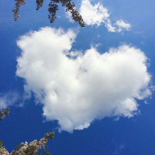 微信头像有云朵跟爱心的：有时候