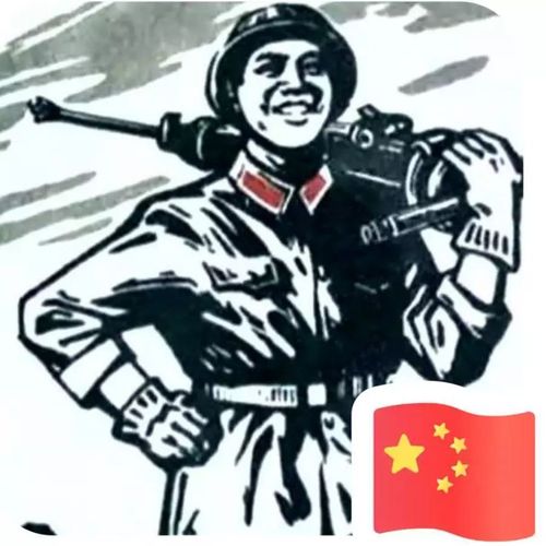 当兵人头像可以用中国的五星红旗吗?： 就陪你到这里了
