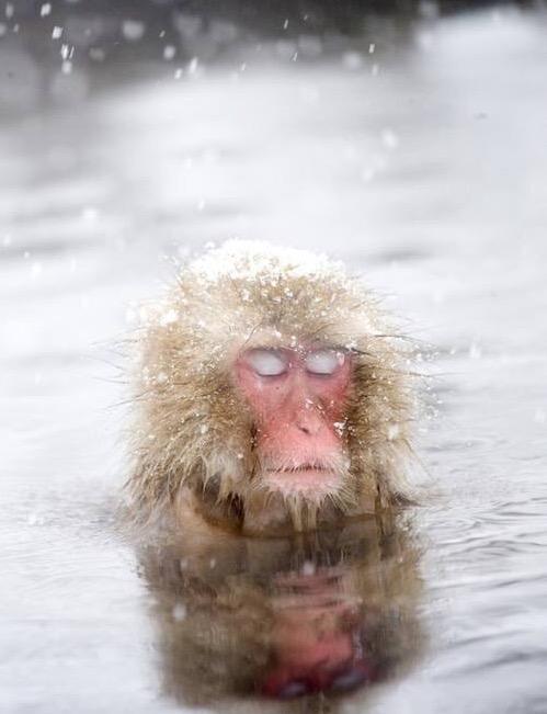 猴哥玩水的头像图片：没有什么委屈不委屈