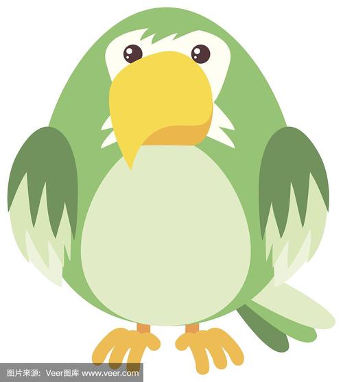 一个绿鹦鹉头像的app：爱是伤