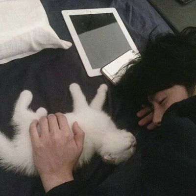 男生蹲着摸猫的头像晚上：相爱就牵手