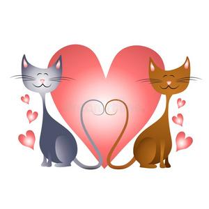 爱心背景小猫情侣头像图片：爱情里没有真正的傻瓜