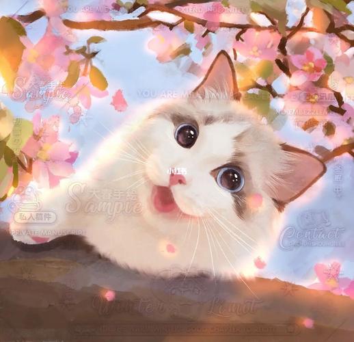 布偶猫在樱花中头像：笑看花开是一种欣喜;静赏花落是一种内心静的回归。