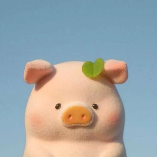 巨可爱小猪猪头像：喜欢你又凶又美 又甜又烈
