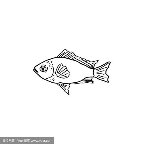一只鱼黑白极简头像：我要做你的心脏