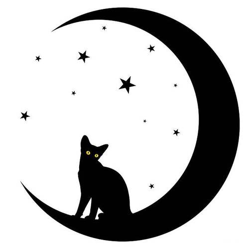 猫伸手摸月亮的头像寓意什么意思啊：凡事先讨好自己