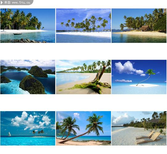 天涯海角椰树图片头像：天涯海角有穷时