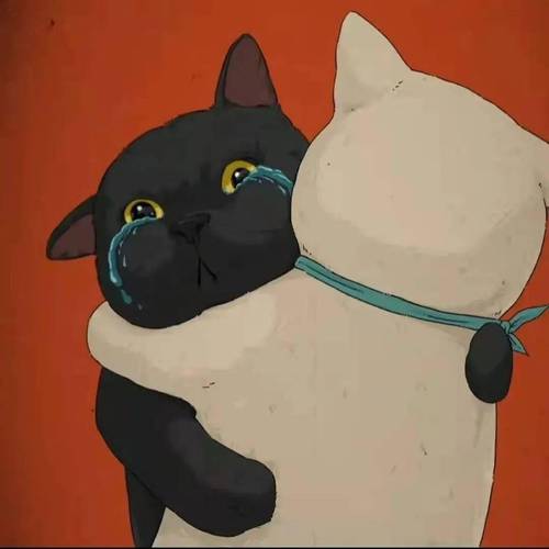 可爱猫咪情侣头像一对 卡通图片： 我要记住你的一切包括你走过我身边时刮起的风。