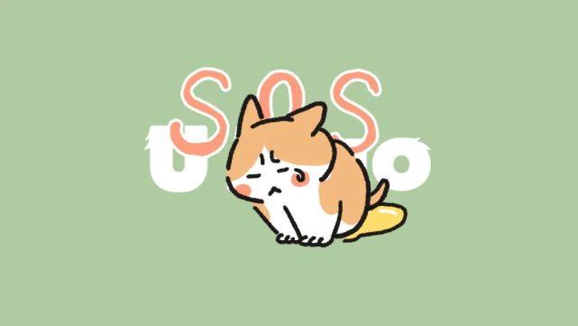 小猫SOS头像：不管我睡的有多沉