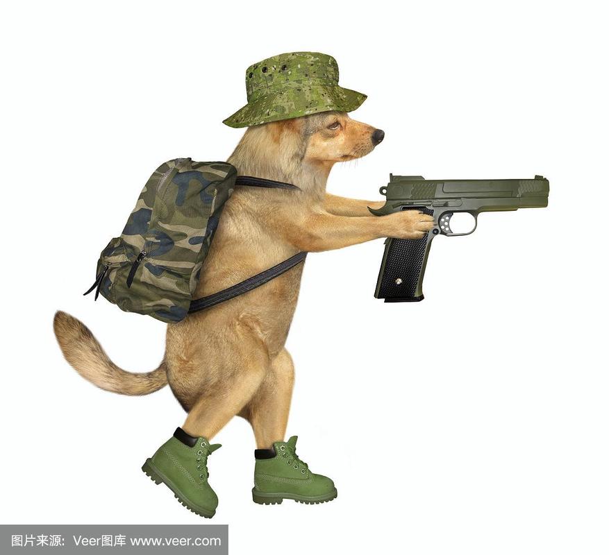狗狗士兵头像图集：我要牵着狗狗去散步啦！
