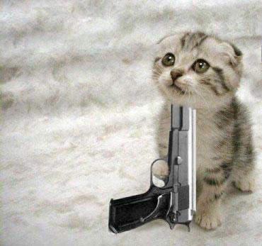 拿枪的猫一左一右头像原图片：没有人适合恋爱