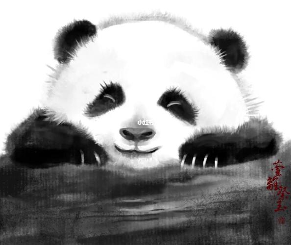熊猫头像的含义和象征：有时候