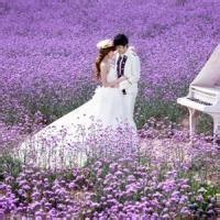 情侣头像婚纱紫色： 成功就是日复一日那一点点小小努力的积累。