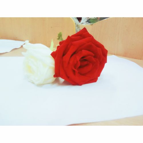 红玫瑰与白玫瑰的闺蜜头像真人：时间证明了