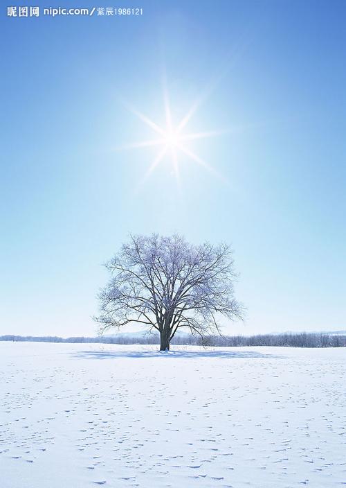 微信头像是冬天的树代表什么意思：小寒雪地书画大赛正在进行