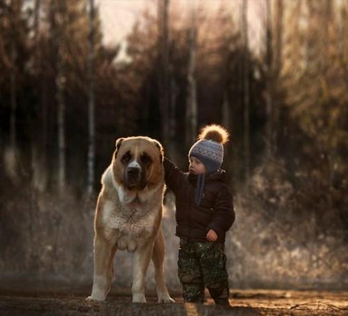 狗和婴儿头像：在你把秘密说出来的那一瞬间就不要后悔后来的众所皆知。　　　　