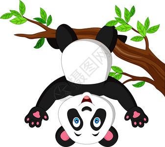 熊猫坐树枝头像：昏黄的路灯下