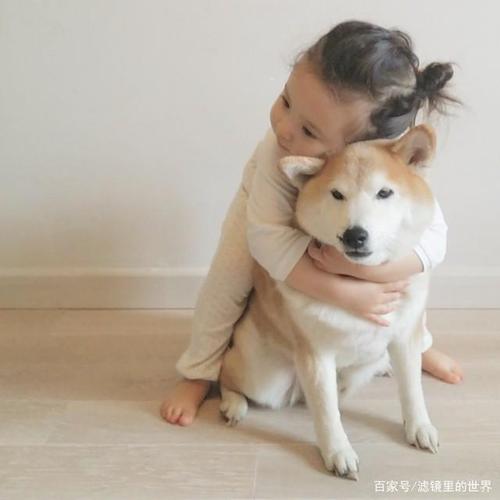 一条狗和小女孩的头像：努力的意义就是