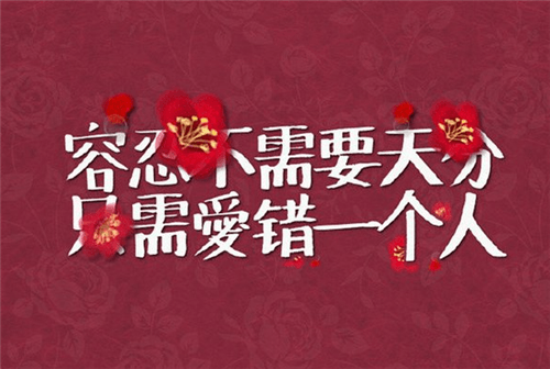 代表幸福的花叫什么名字啊