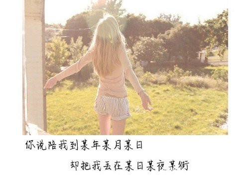 苏乞儿的介绍